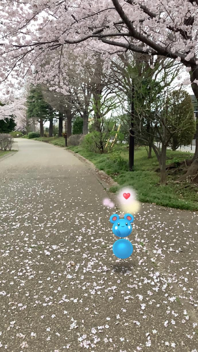ポケモンgo 桜が満開の公園でar撮影 普段とは違う風景にポケモン達も嬉しそう Appbank