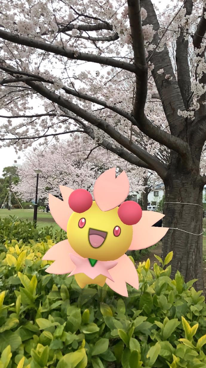 ポケモンgo 春は一瞬で過ぎてしまいます 桜が散る前にポケモン達と記念ar撮影 Appbank