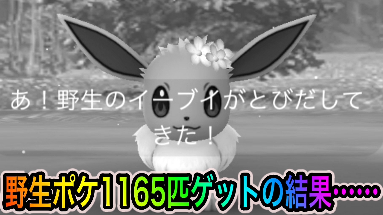 【ポケモンGO】色違いの花飾りイーブイやラッキーを狙って野生ポケモンを1165匹ゲットしてみた結果を紹介します【春イベント2022】