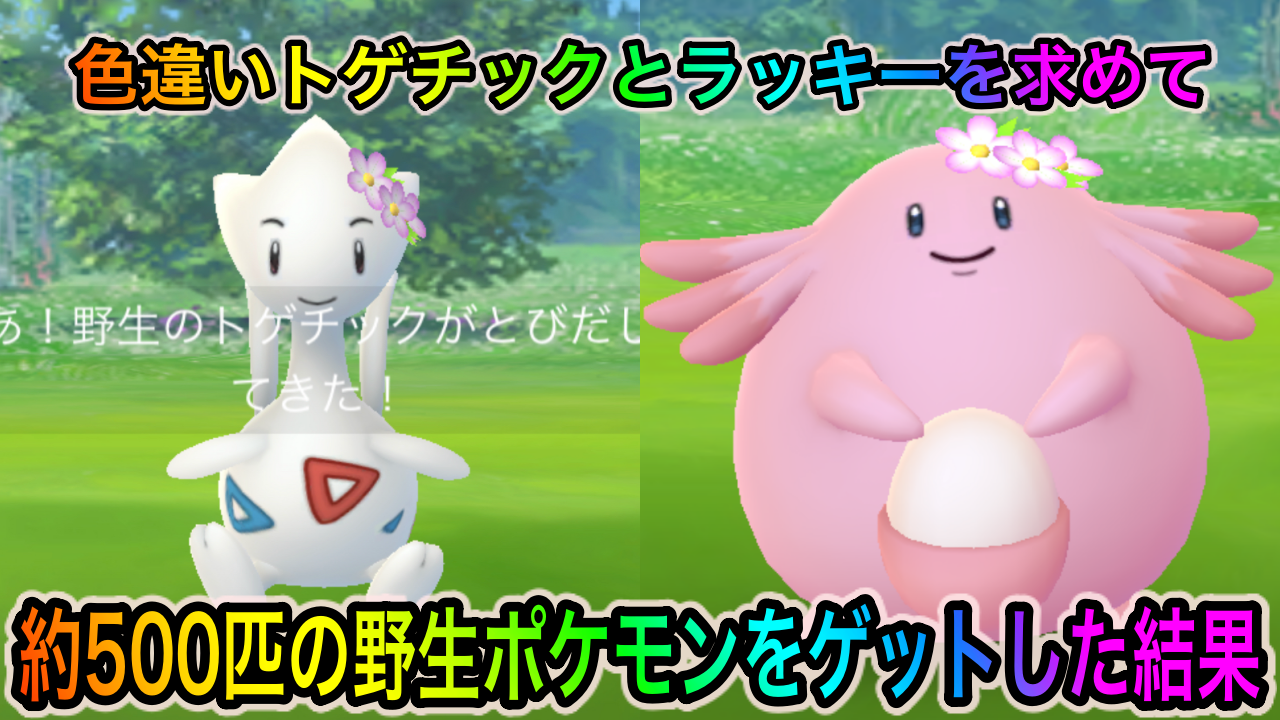 ポケモンgo 色違いラッキーとトゲチックを求めて野生ポケモン500匹をゲットした結果 春イベント22 Appbank