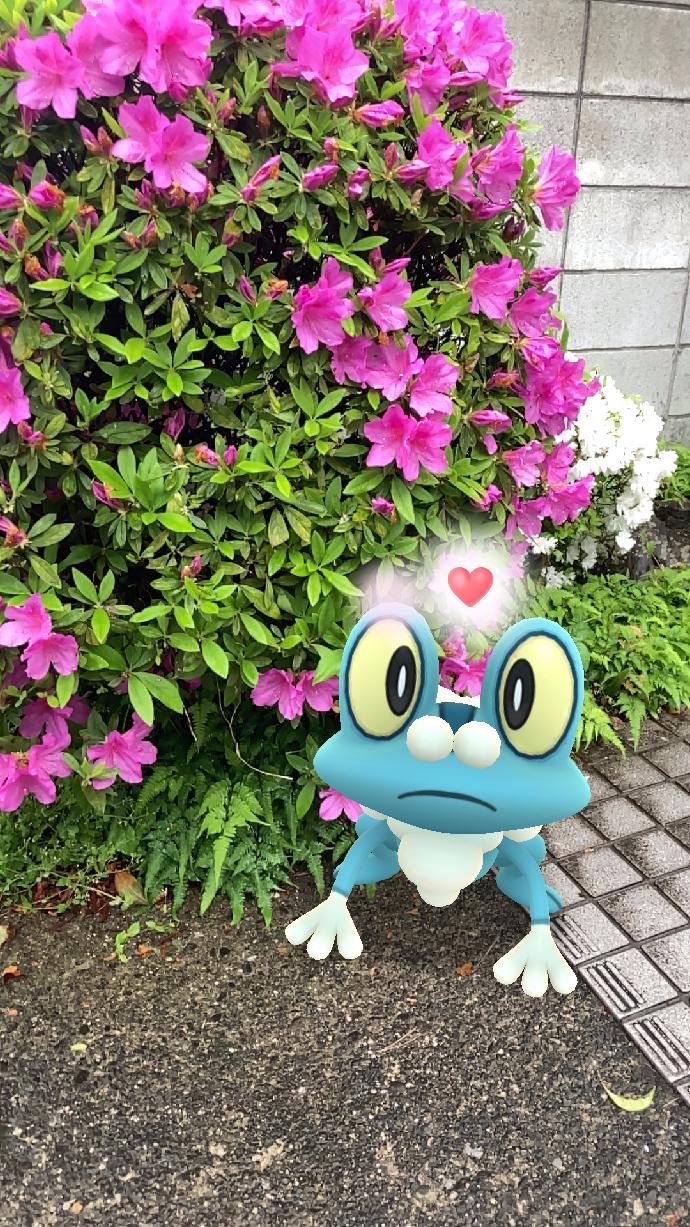ポケモンgo 本日6月6日はかえるの日 カエルがモチーフのポケモンを激写 Appbank