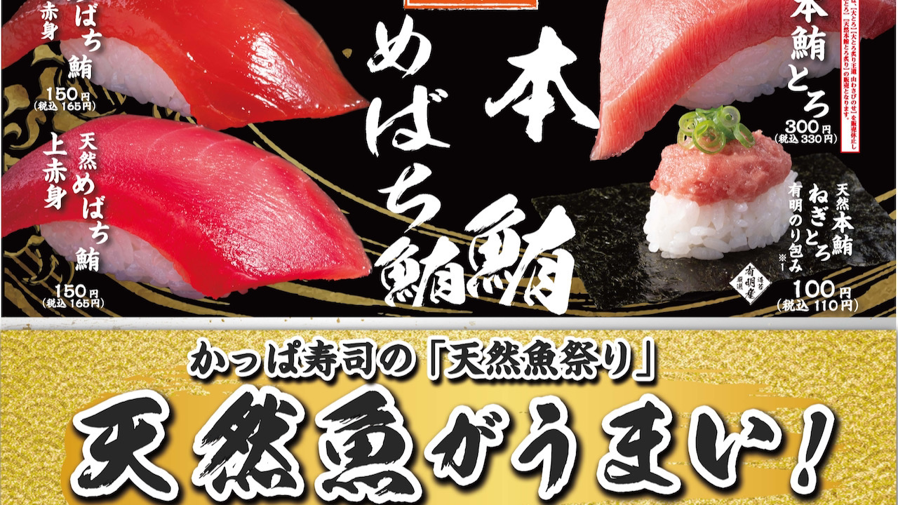 【かっぱ寿司】天然ものにこだわった鮪・あじ・金華鯖など珠玉の商品が勢揃い「天然魚祭り」5/10より開催!