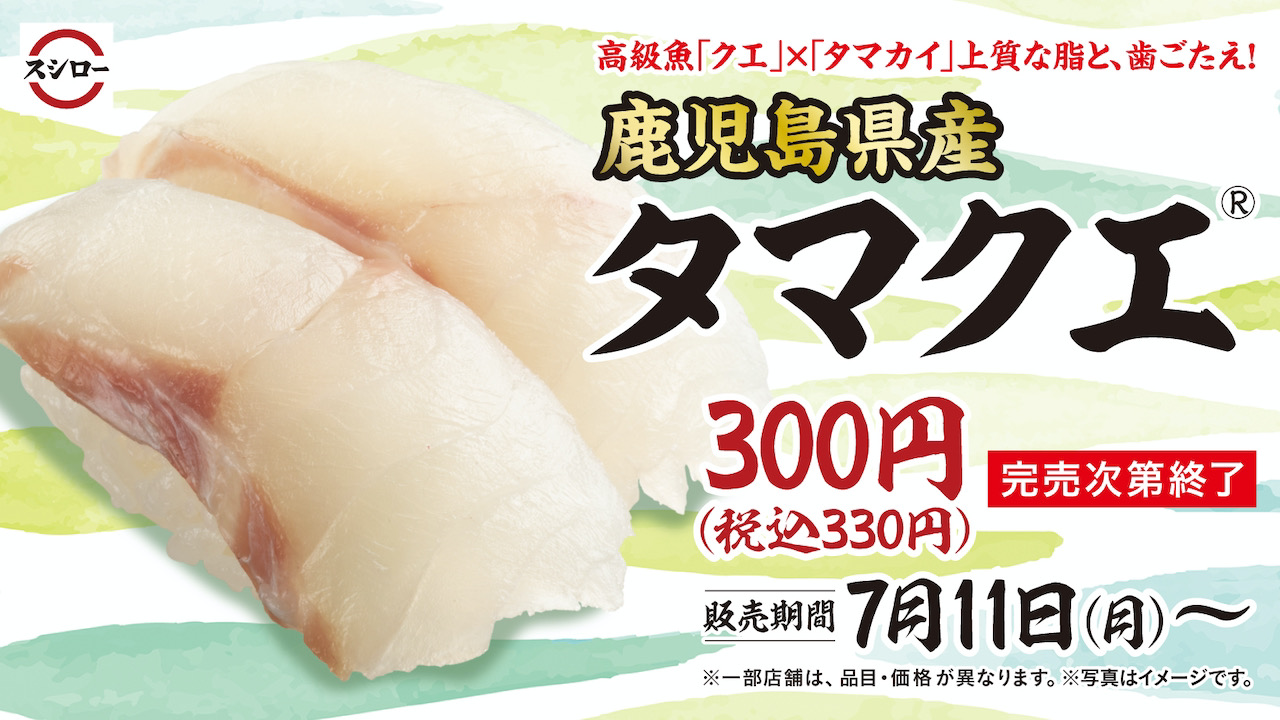 【スシロー】高級魚クエ×タマカイ新魚種「鹿児島県産タマクエ」が7/11より期間限定で数量限定販売!