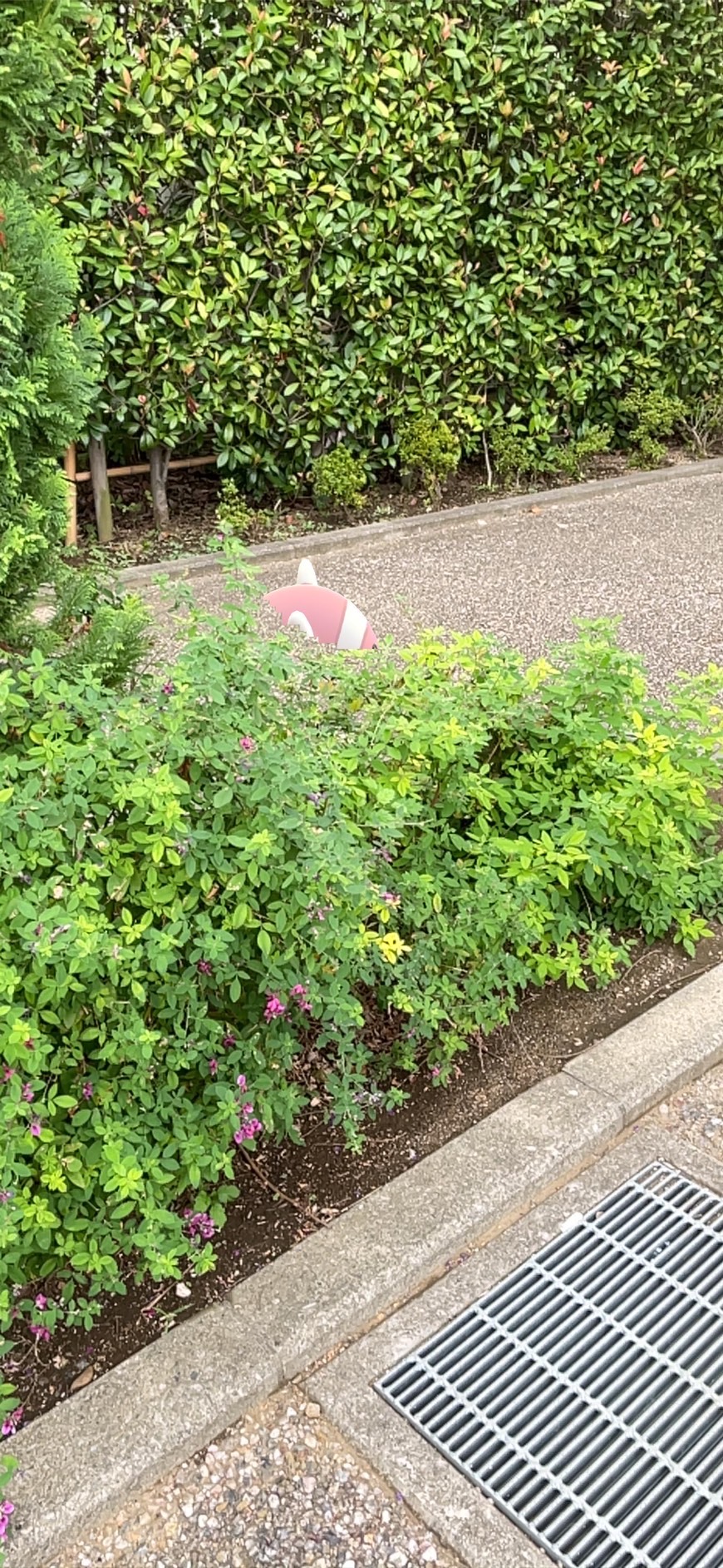 ポケモンgo ポケモンたちとかくれんぼ 物陰に潜んでいるのはだーれだ Appbank