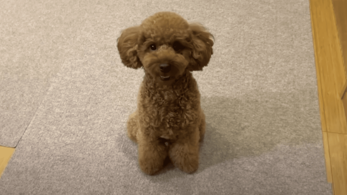 Vuvbrsr Sna M Vuvbrsr Sna M