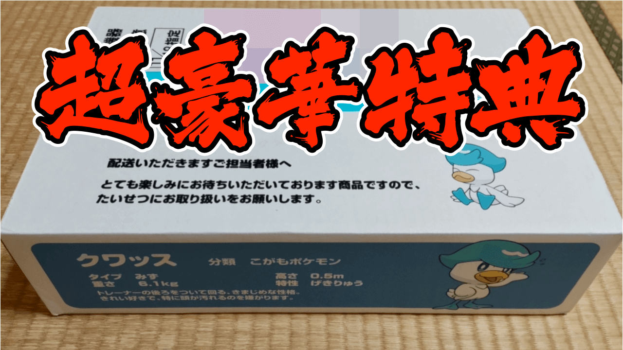 ファッションデザイナー ポケットモンスターＳＶ ダブルパック asakusa