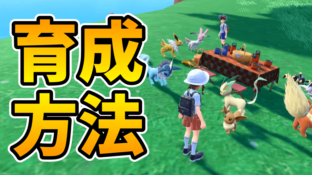 【ポケモンSV】合言葉は「金で解決」!? 努力値振り&個体値伸ばし方法紹介 育成がグッと楽に