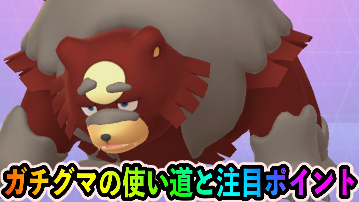 【ポケモンGO】10まんばりきガチグマの使い道と注目ポイントは?【ヒメグマのコミュニティデイ】