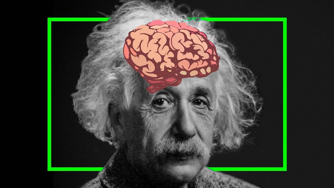 アインシュタインの脳は盗まれていた！ 23年間行方不明だった「人類最高の知性」が辿った数奇な運命とは？