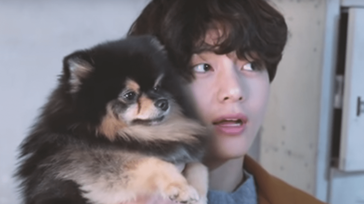 BTS HAPPYBIRTHDAY ヨンタン | BTS(防弾少年団)❤️特にジン