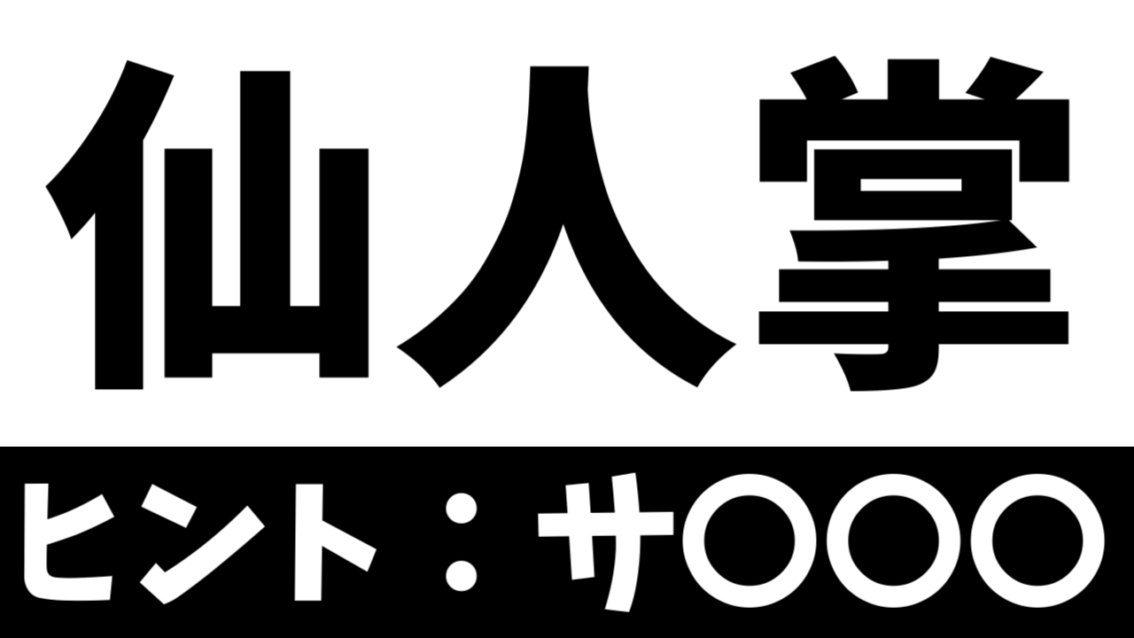 【難読漢字】「仙人掌」これなんて読む? なんて名前の花?