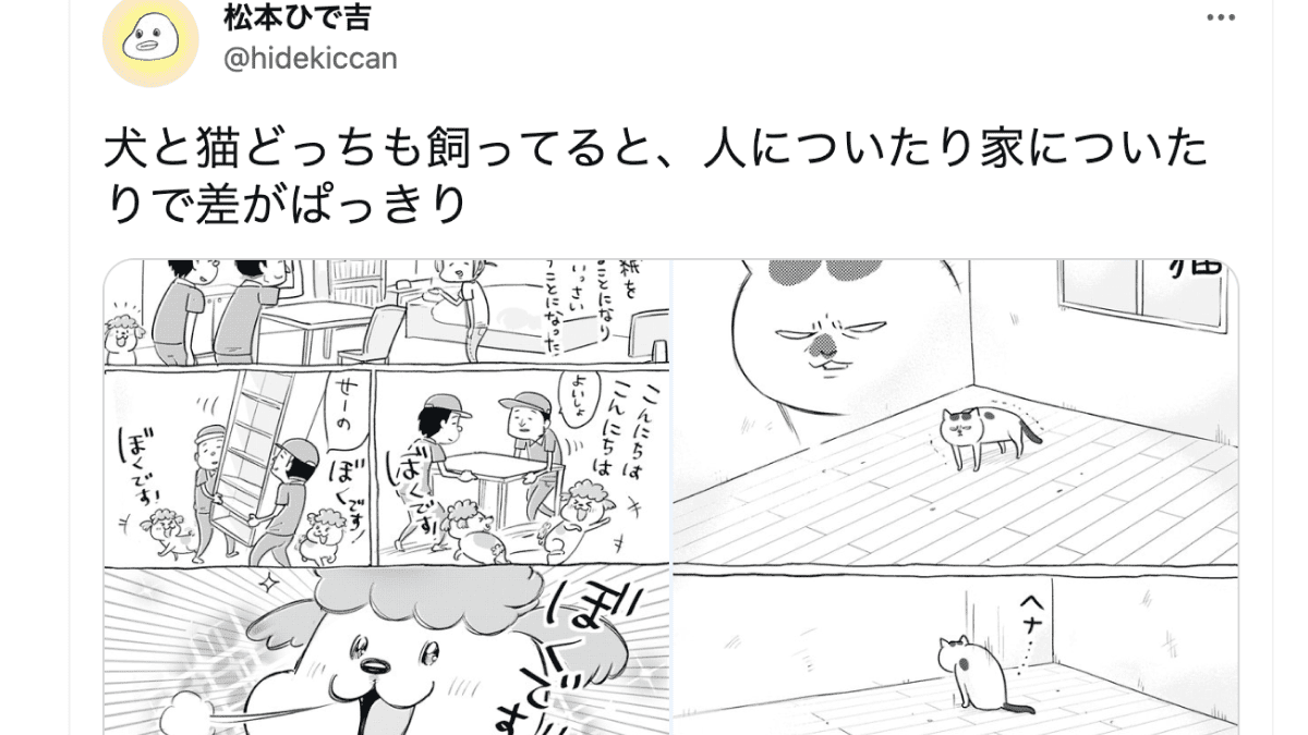 Twitterで話題のコミックエッセイ「犬と猫どっちも飼ってると毎日たのしい」の犬くんと猫くんが大人気!