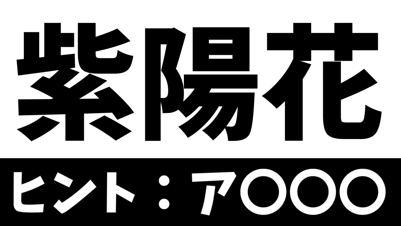 【難読漢字】「紫陽花」これなんて読む? なんて名前の花?