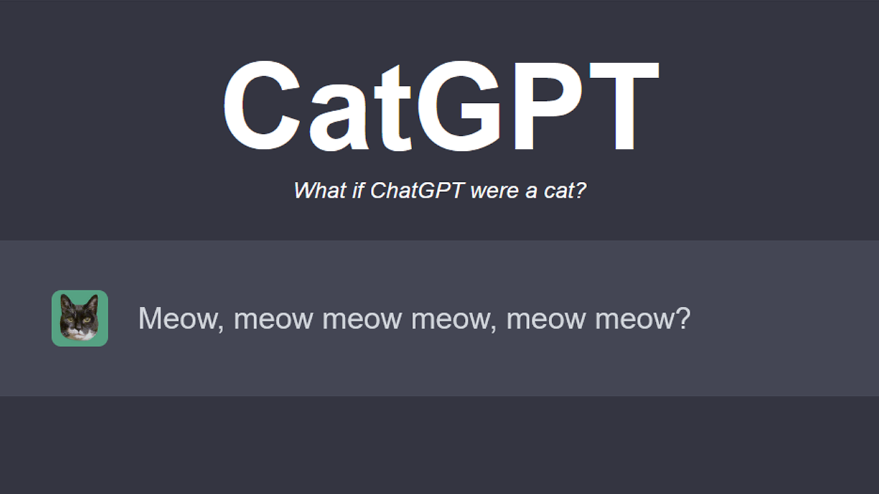 猫が返事してくれるチャットAI『CatGPT』をキミは知っているか！？【猫の日】