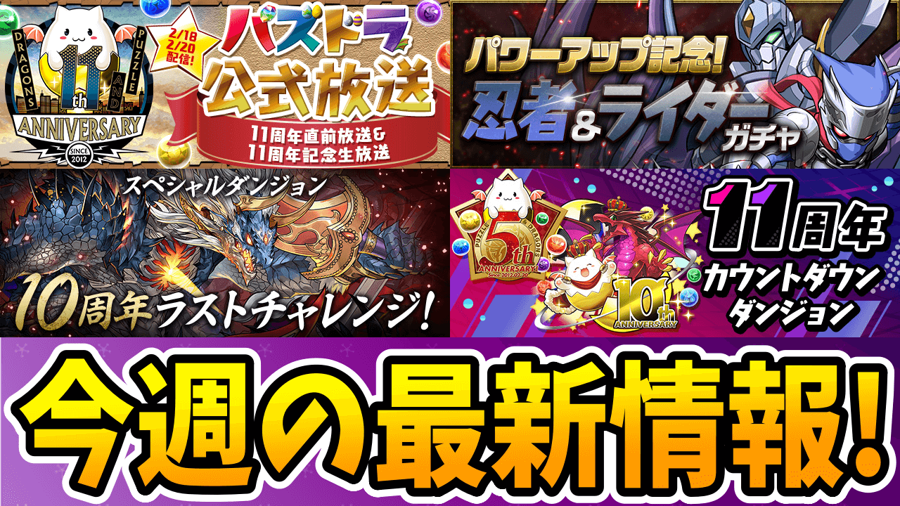 【パズドラ】「11周年公式放送」ではどんなサプライズが!?  注目の最新情報!