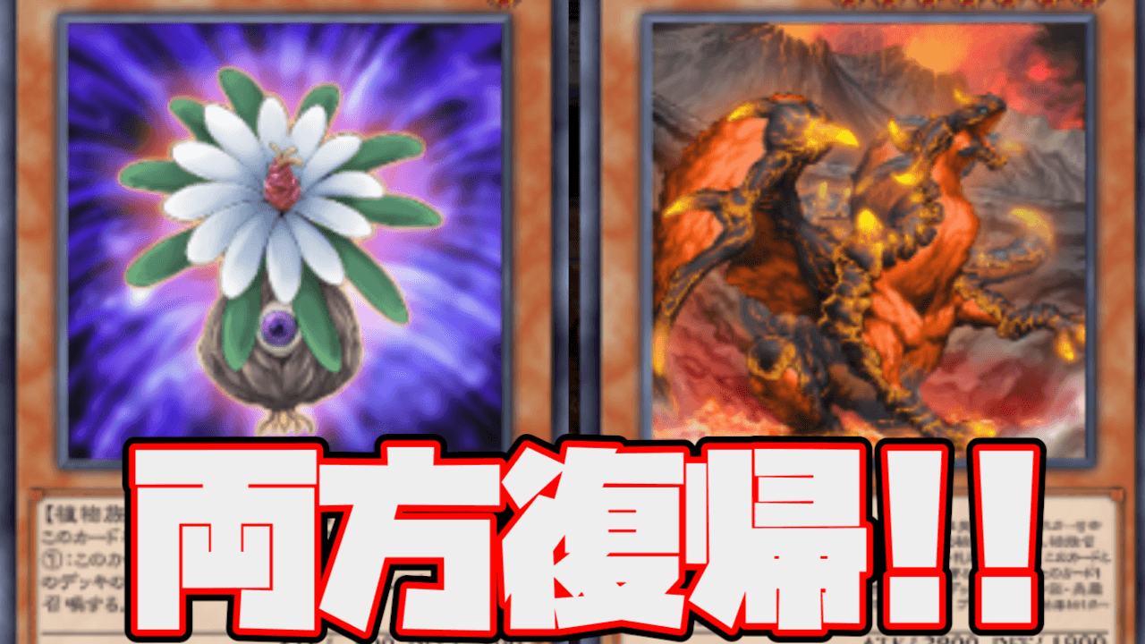 【遊戯王OCG】エルフ禁止!バルブ復帰!2023年4月リミットレギュレーション公開