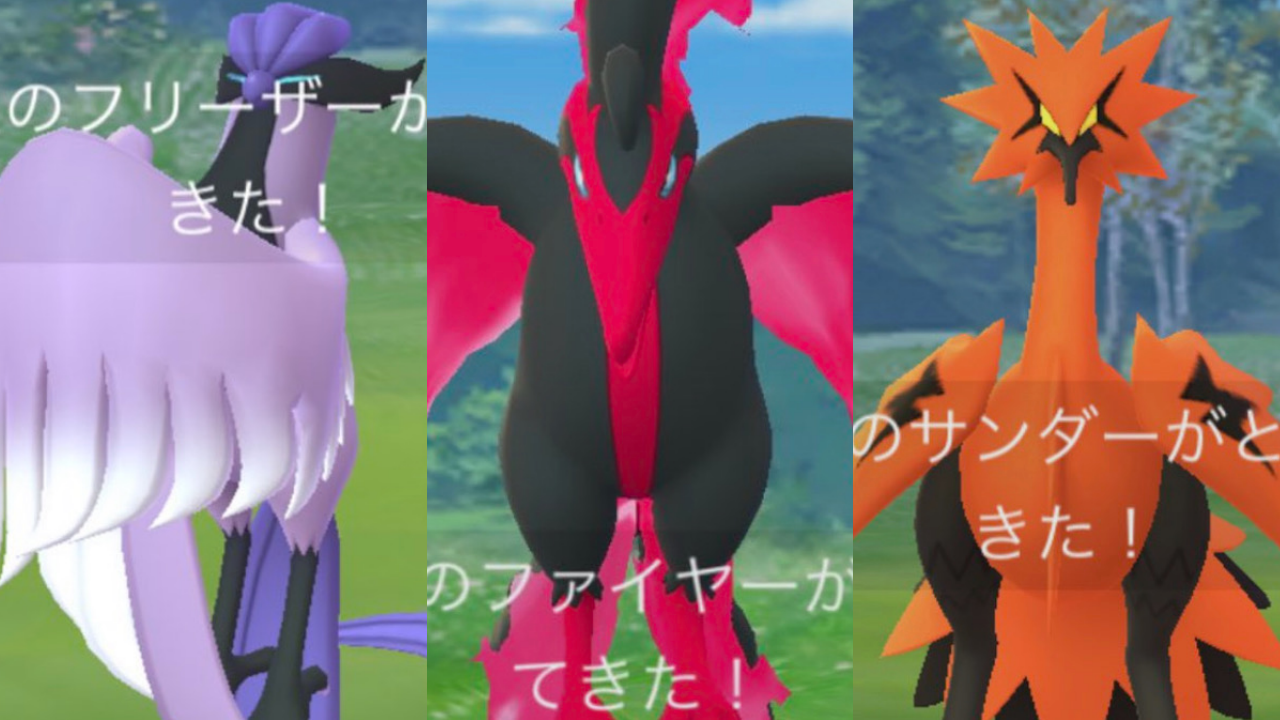 ガラル三鳥 初々し 各4枚