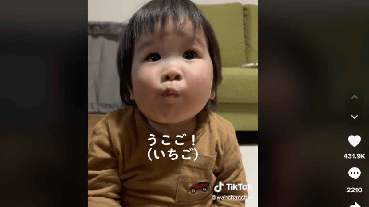 パパ「つい出来心で……」1歳の息子のまさかの大号泣に大慌てで謝るパパ! TikTokで500万回再生超えの大バズり!