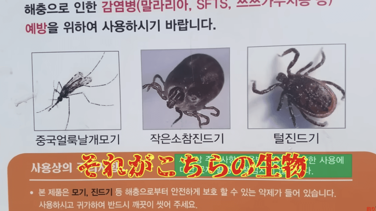 【驚愕】今の北朝鮮の堤防へ釣りに行ったら「とんでもない事」に遭遇!?