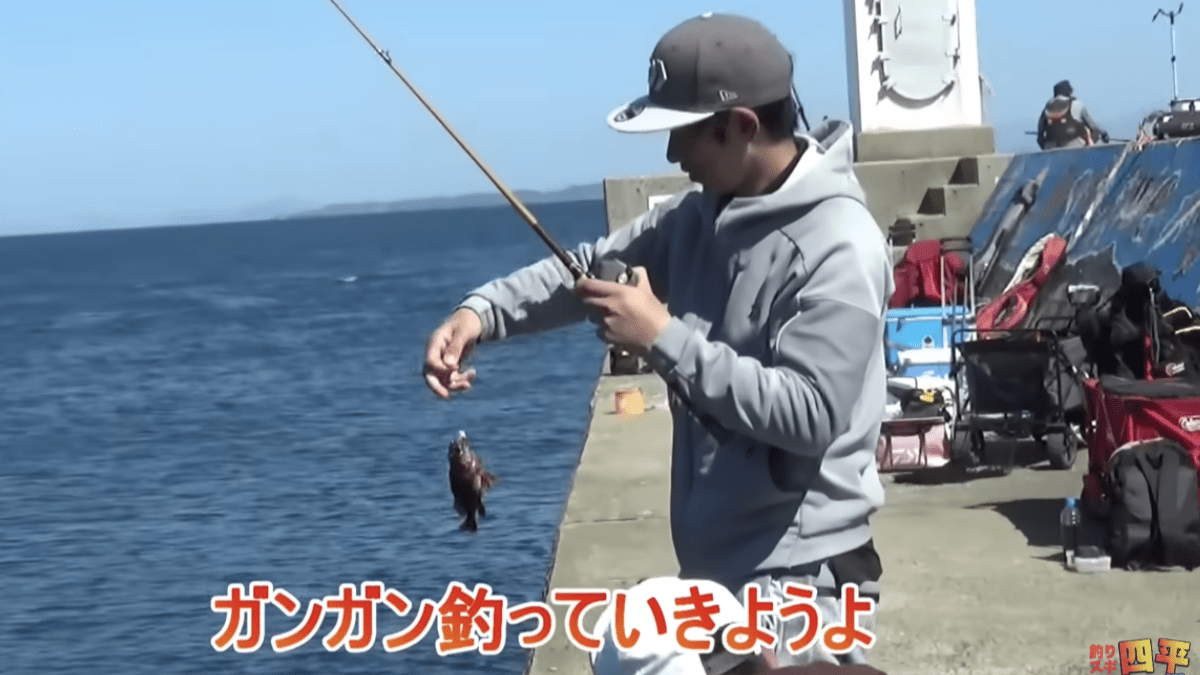 【驚愕】「とんでもない魚」を釣り上げ、堤防に居た人々は騒然。