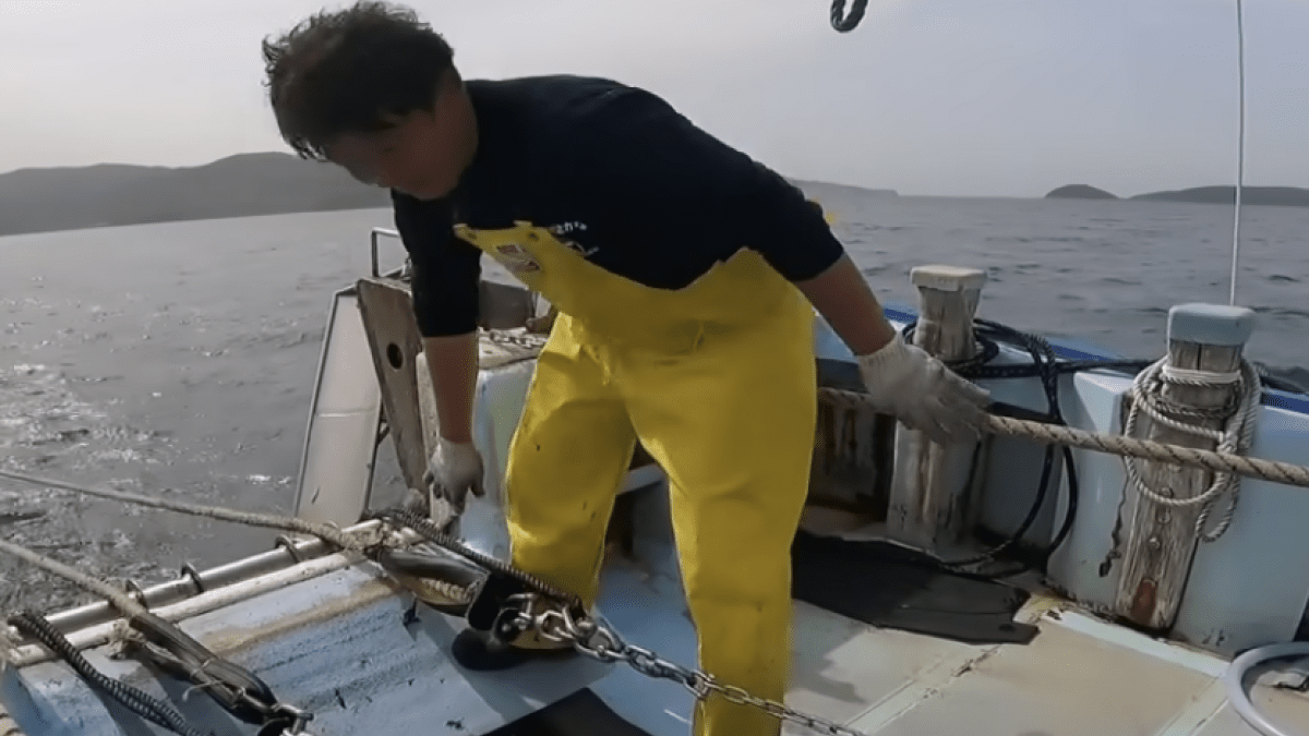 【釣り】大阪湾で初の「底引き網漁」を体験してみた結果・・・？