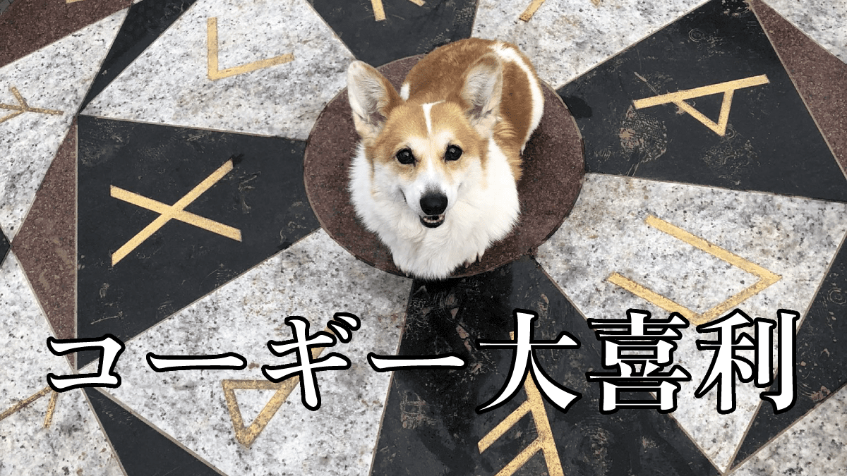 【大喜利】異世界召喚されたコーギーの役に立たないチート能力は?