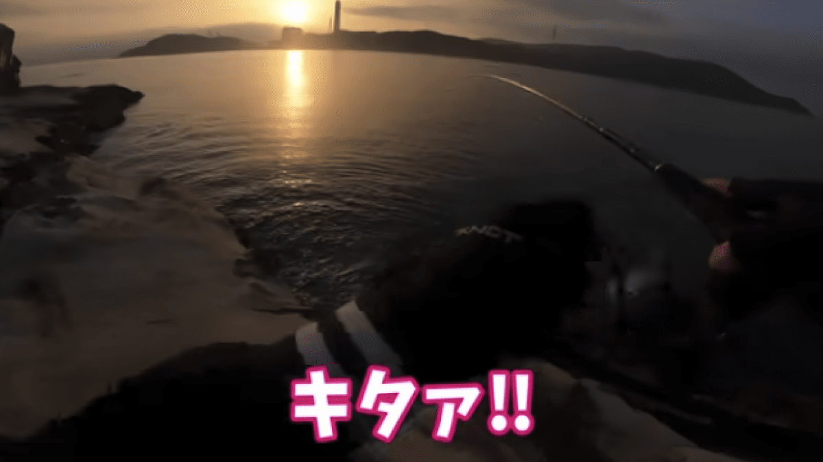 【驚愕】マグロじゃない!! とんでもない高級魚が釣れた結果…