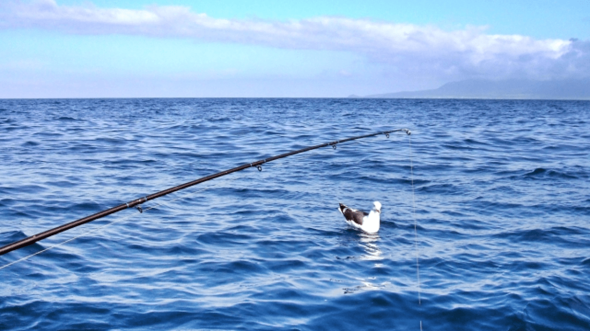 【驚愕】堤防釣りで地元のおじさんが「あの魚」をサプライズで…!?