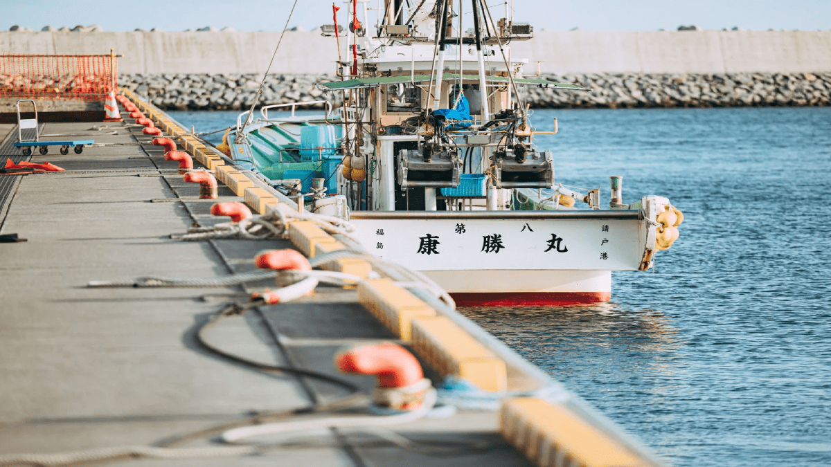 【爆釣!?】漁港に異常発生したアイツがヤバすぎた