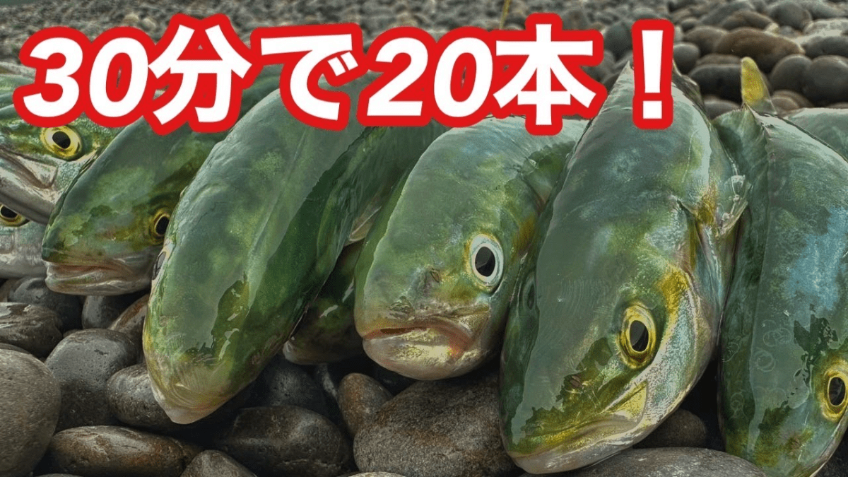 【衝撃】投げればヒット!?釣れすぎてやばい・・・