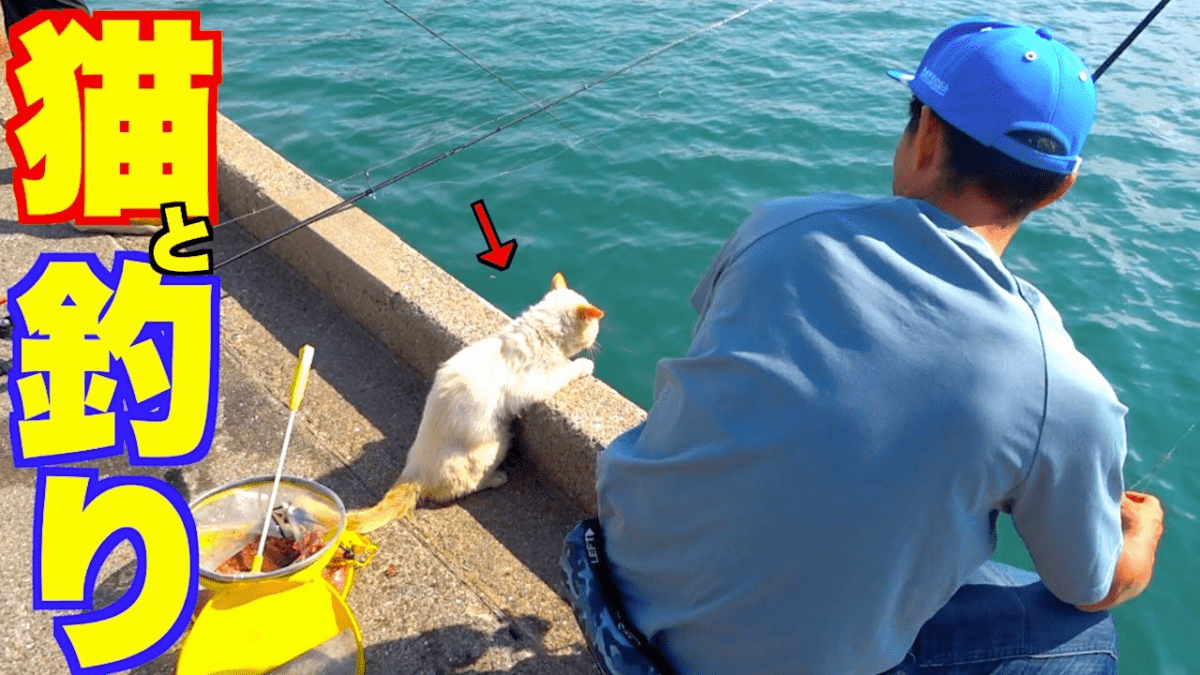釣果を誰よりも期待している猫がかわい過ぎた! 堤防釣りの結果は・・・