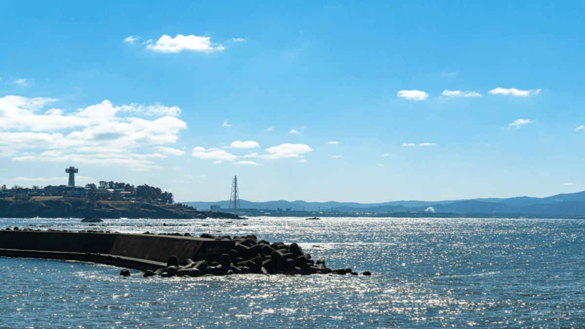 【衝撃】離島の防波堤からとんでもないデカイのが釣れた?!