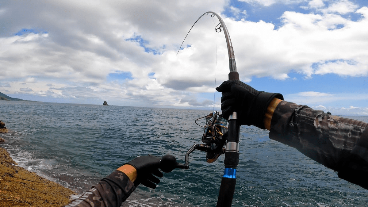 離島の磯であの高級魚が入れ食い!?一体どれだけ釣れたのか・・・