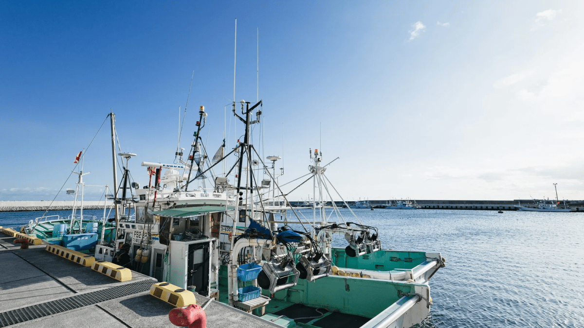 【驚愕】巨大マグロを求めて友人たちと船を出したらとんでもないマグロが…