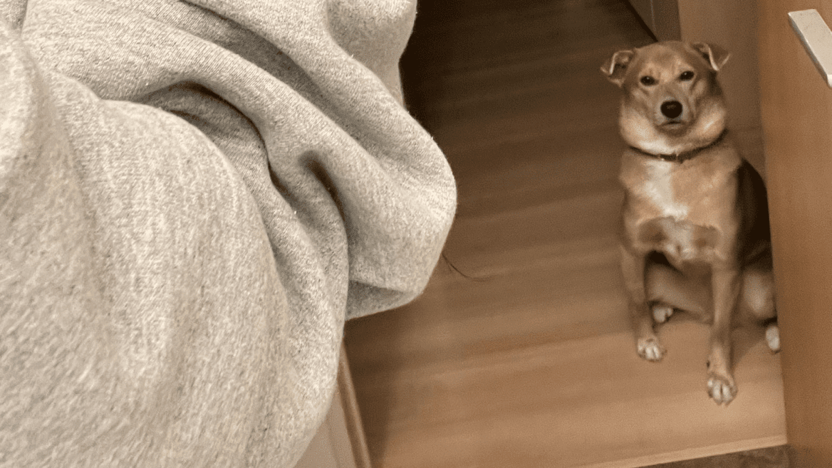 【癒し】眠いけど、ご主人さまの顔見たかった犬の行動が話題にwww