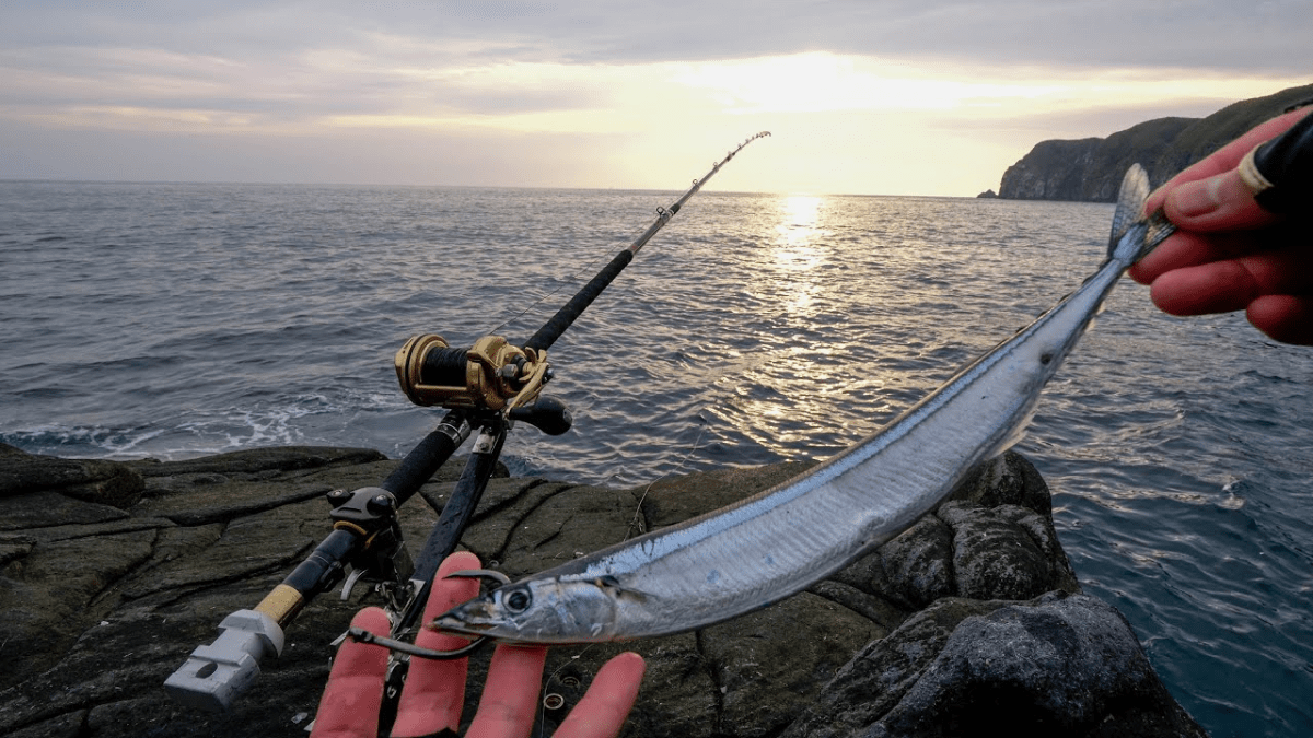 【衝撃】希少すぎる幻の高級魚を求め、夜の離島ぶっこみ釣りにきたら……