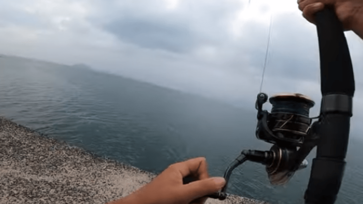 【衝撃】人生最大の大型魚と遭遇!! ヤツの正体は一体?!