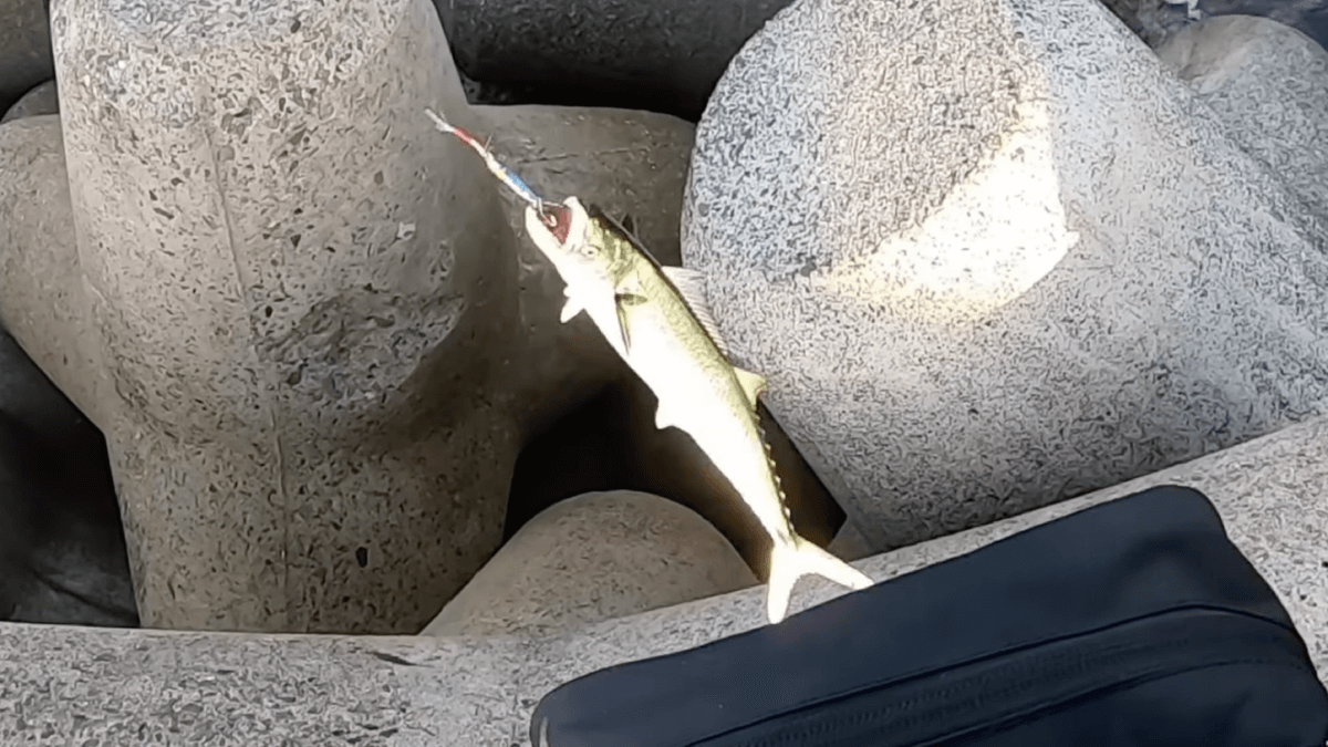 【激ヤバ】100均ジグを使ったら魚が釣れまくってしまったんだが…w