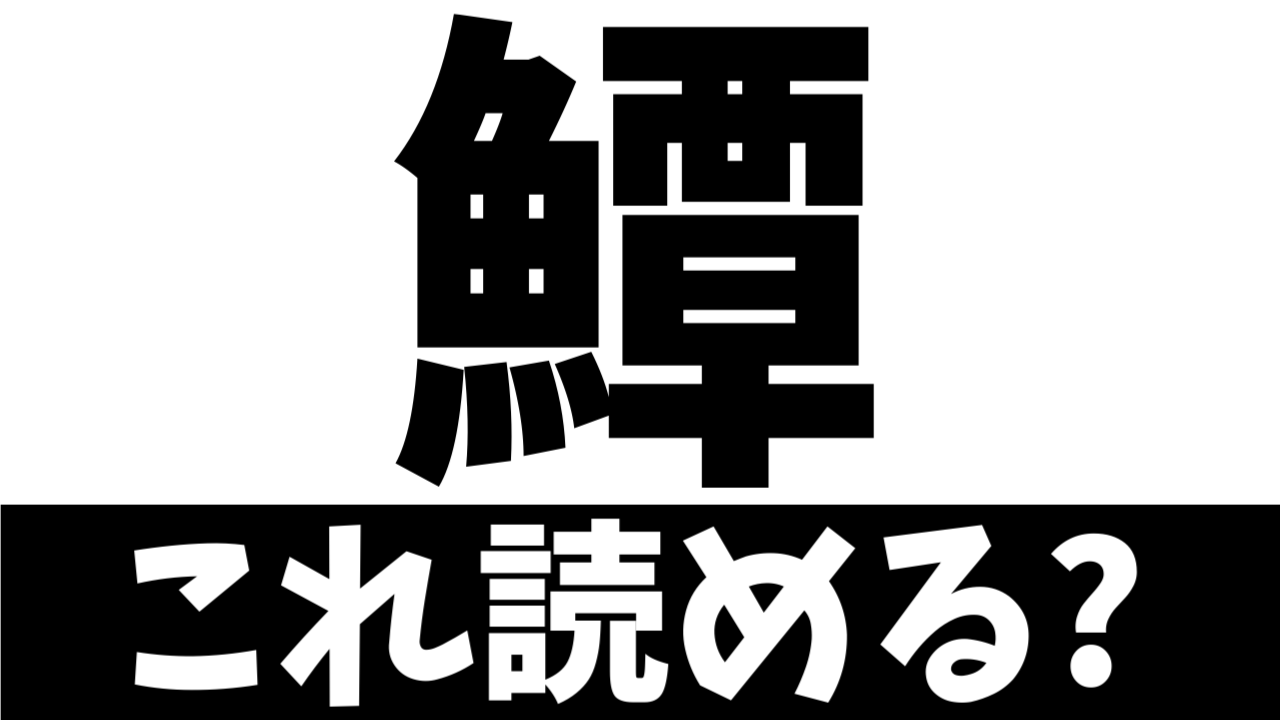 【難読漢字】鱏は何て読む？何て名前の魚を表す？