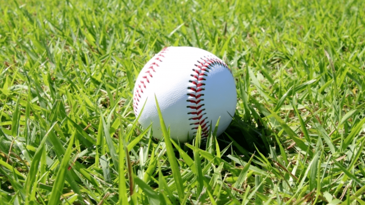 【プロ野球】最も年俸が低いポジションはどこ？一番高いポジションは〝ココ〟だった！