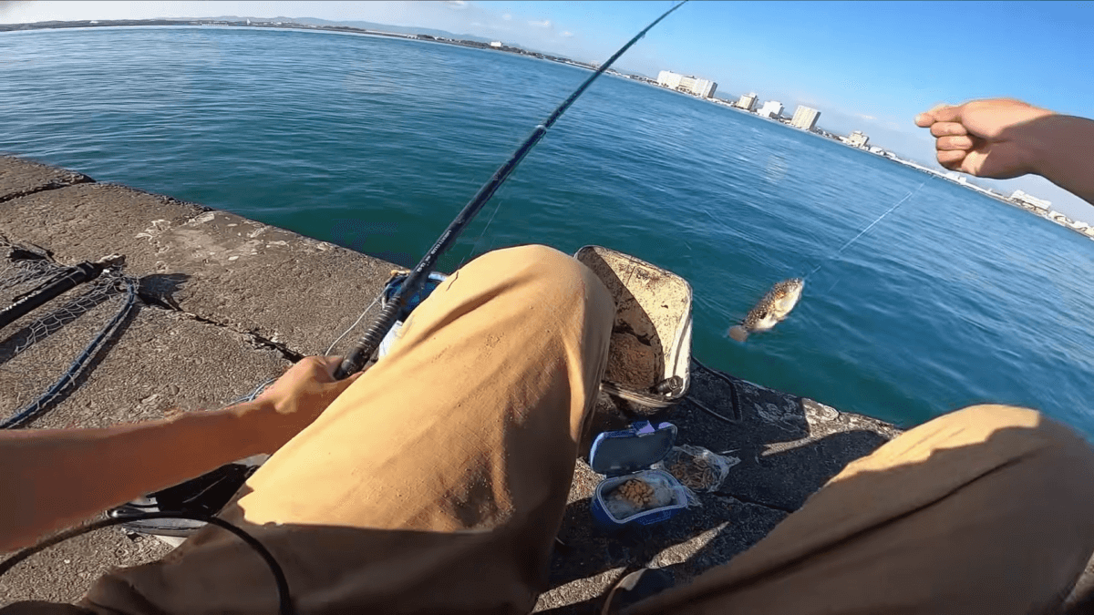 【驚愕】浜名湖でダンゴ釣り→ヤバい奴が釣れました。