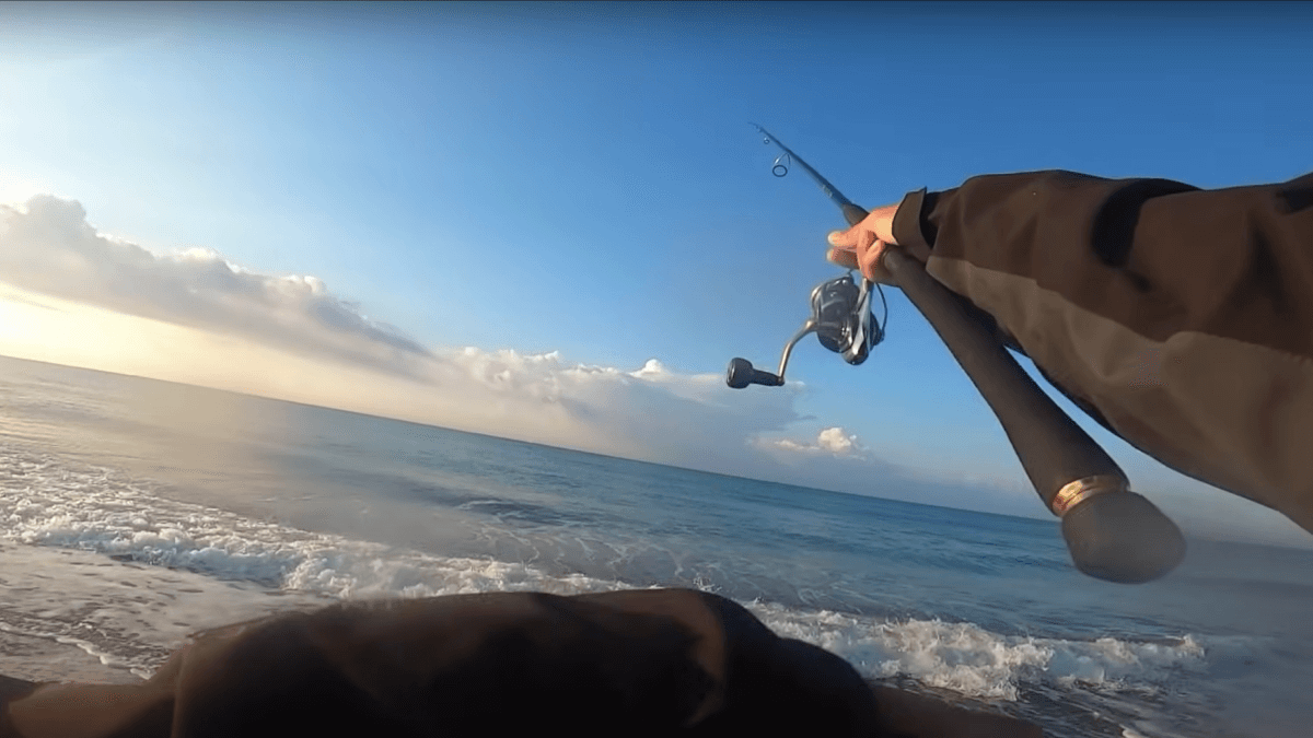 【まさか】こんな綺麗な海から〝ヤバい魚〟が釣れまくるなんて…。