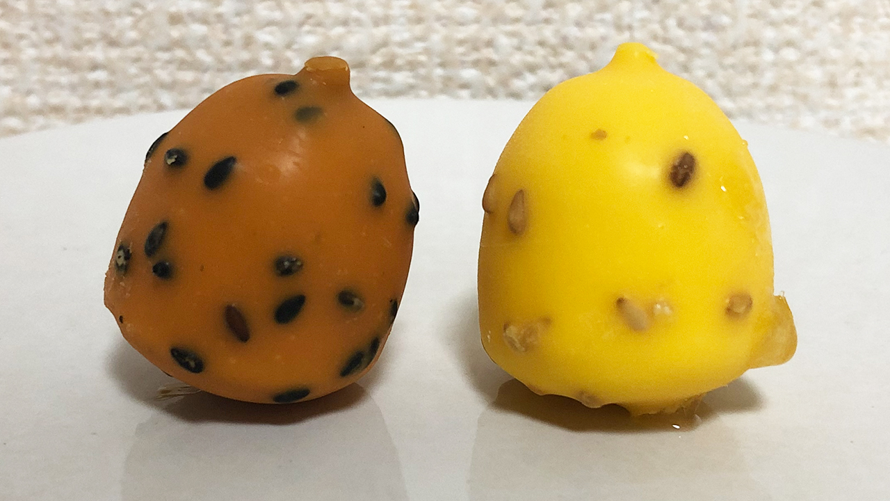 【新作アイス】紅はるか＆鳴門金時の旨味がギュッ♪ ローソン限定「井村屋 ひとくち大学芋アイス」実食レビュー
