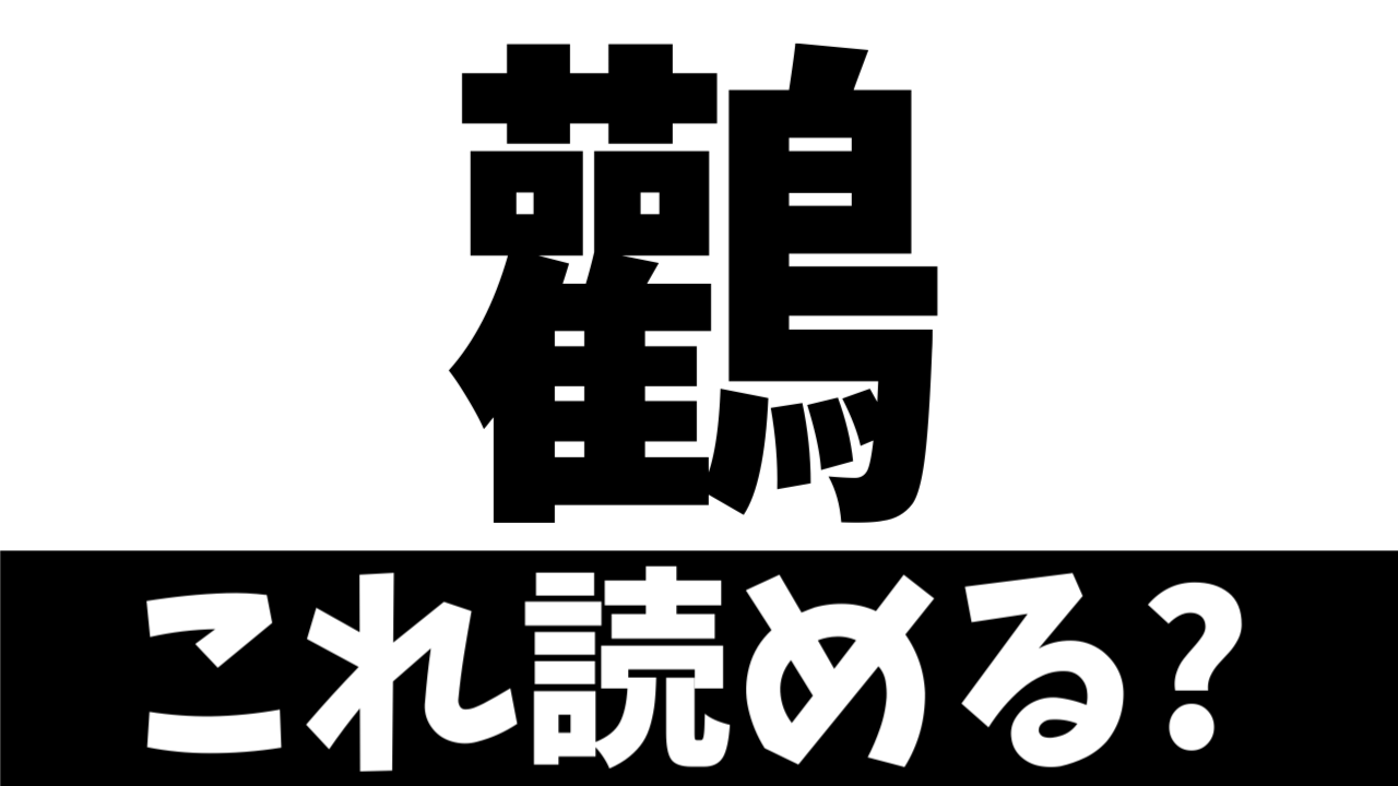 【難読漢字】読めたら天才！〝鸛〟は何の生き物を表す？