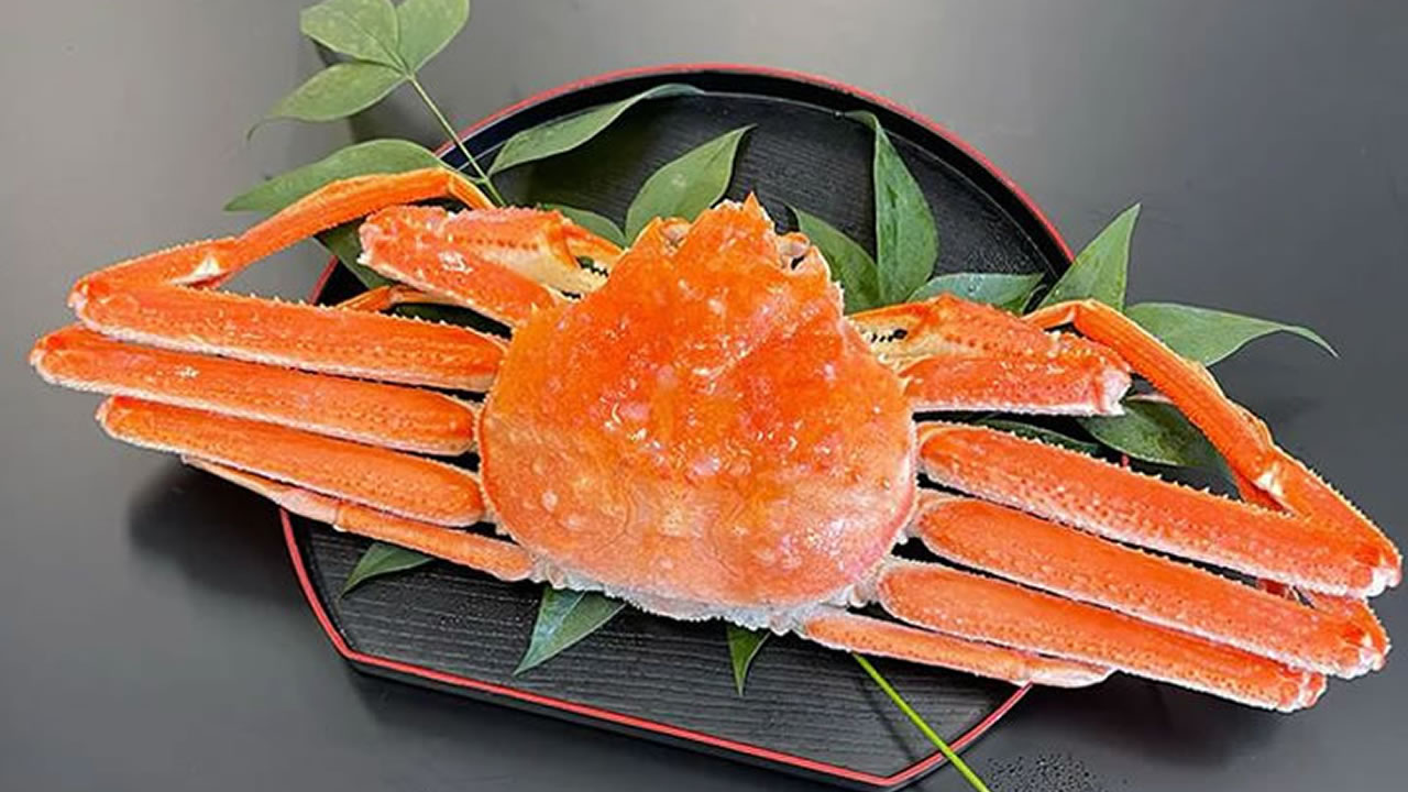 カニ 北海道でオオズワイガニが大量発生!! 厄介者と思いきや食べたら