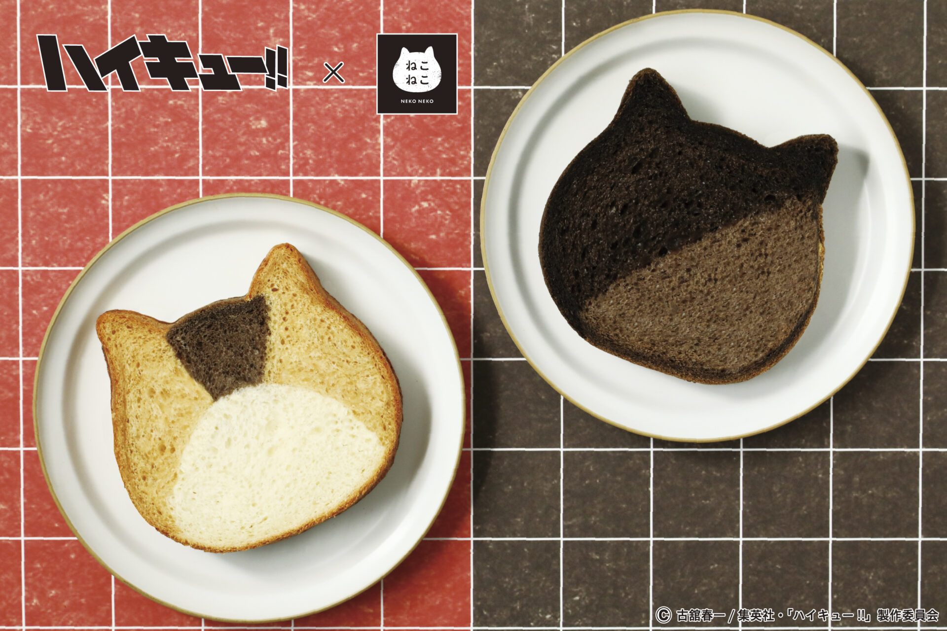 「ハイキュー‼」×「ねこねこ食パン」初コラボ、ケンマネコとクロオネコをモチーフにした限定商品が登場！　5月15日より順次発売開始