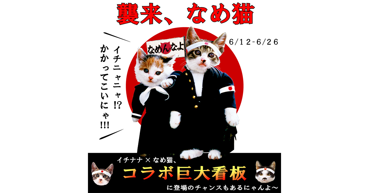 「17LIVE」が1980年代の人気キャラ「なめ猫」と初コラボ。限定グッズや看板出演権も
