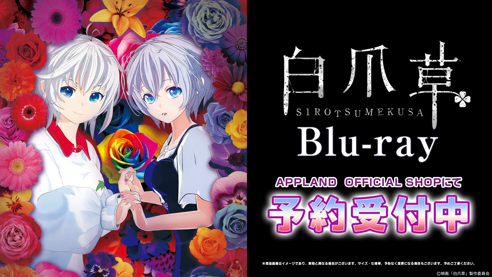 アップランド所属「.LIVE」の電脳少女シロ主演映画『白爪草』のBlu-rayが6月26日より販売開始！　豪華版には限定特典も