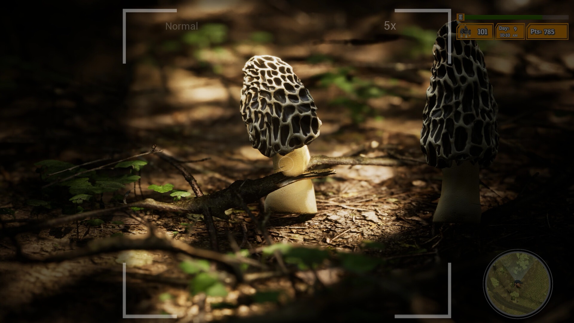 キノコ狩りと野生動物撮影シミュレーター『Morels: The Hunt 2』がSteamサマーセールで50％オフ。自然の中でリラックスできるアドベンチャー