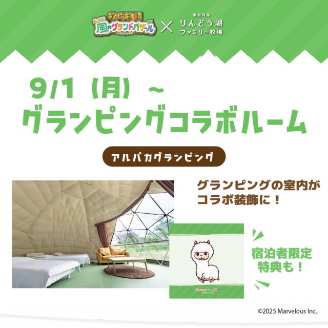 記事画像13: 牧場物語とファミリー牧場のコラボ企画、アルパカグランピングの告知画像。
